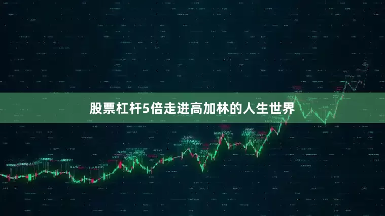 股票杠杆5倍走进高加林的人生世界