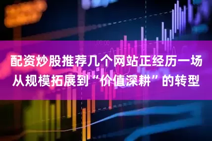 配资炒股推荐几个网站正经历一场从规模拓展到“价值深耕”的转型